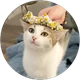 Menesa profil fotoğrafı