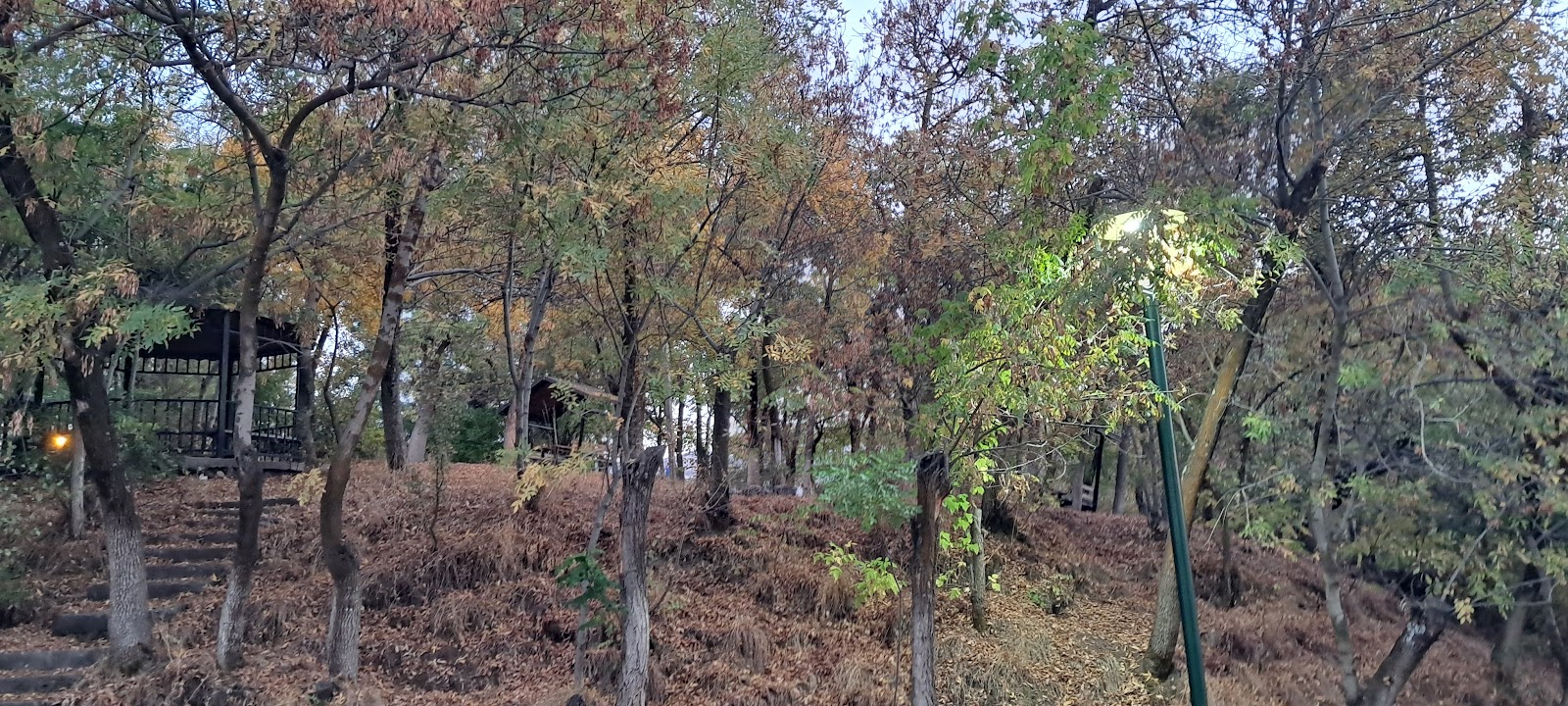 Düğün Evi