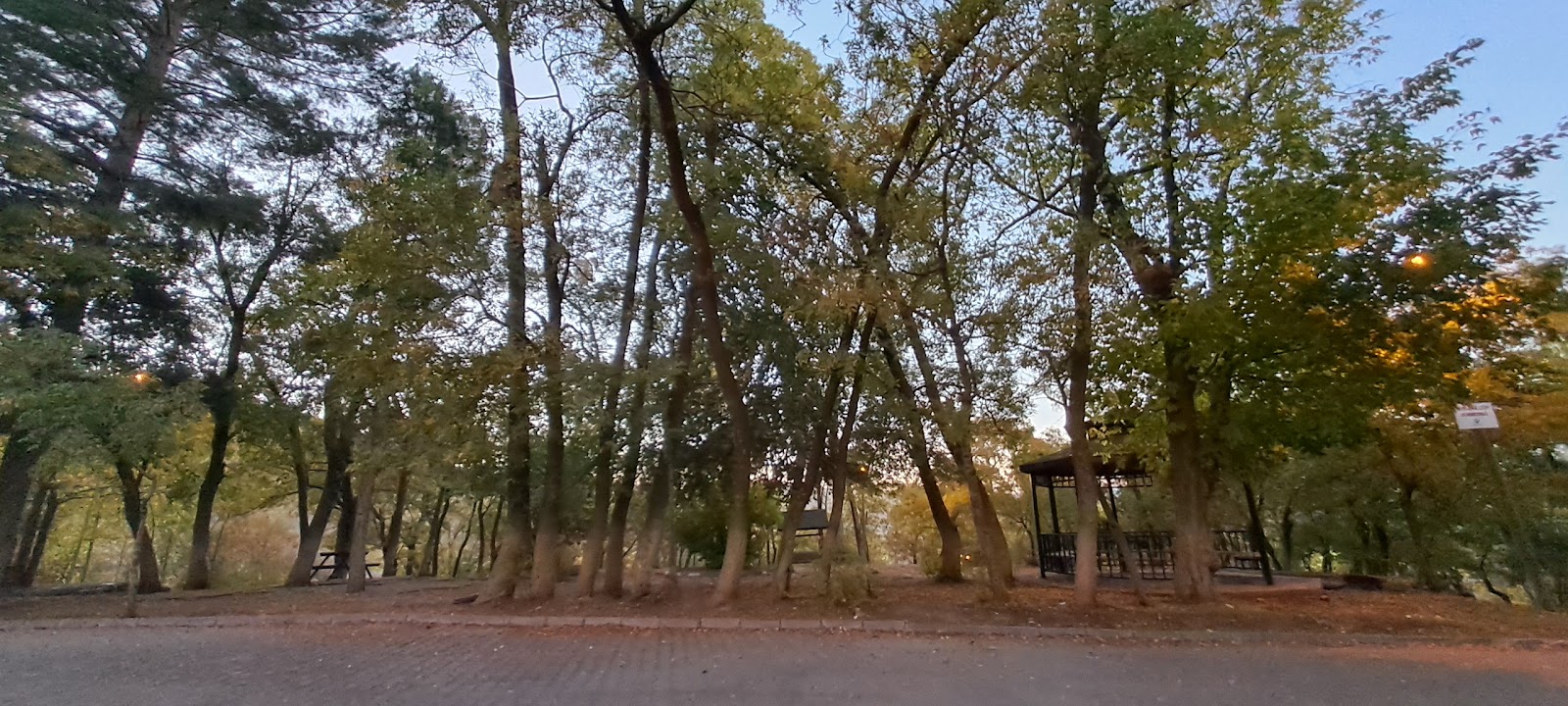 Düğün Evi