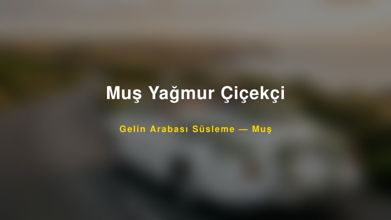 Muş Yağmur Çiçekçi Muş Gelin Arabası Süsleme