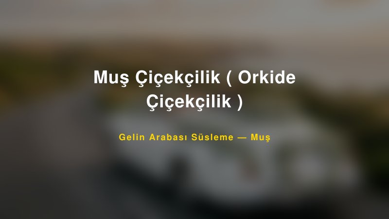 Muş Çiçekçilik ( Orkide Çiçekçilik ) Gelin Arabası Süsleme Fiyatları — 1