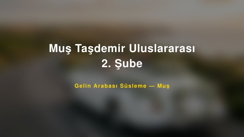 Muş Taşdemir Uluslararası 2. Şube Gelin Arabası Süsleme Fiyatları — 1
